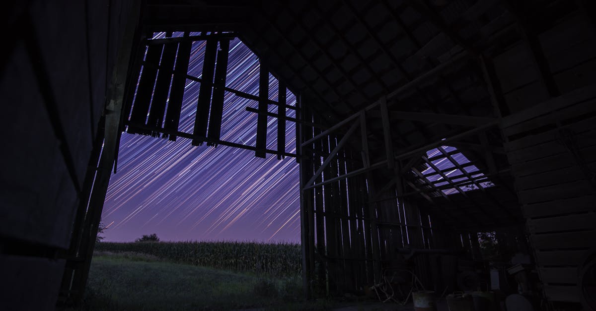 Comparing Auricular Acupuncture to Other Alternative Therapies