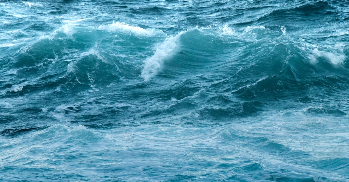 Exploring Acupuncture Centre Locations Across Melbourne's Suburbs